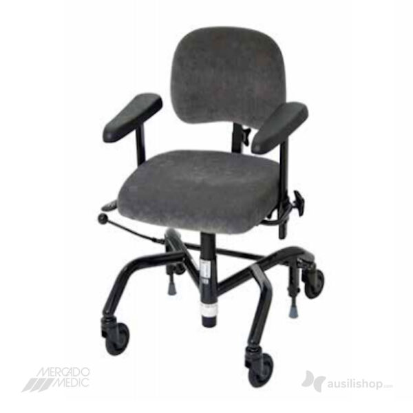 sedia ergonomica regolabile disabili